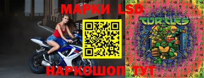гашик Кулебаки